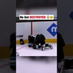 Tom Wilson ABSOLUTELY LEVELS Jack McBain 😵💥 #hockey #nhl