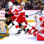 DK's Daily Shot of Penguins: A magical night!