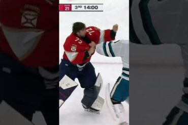 ALEX NEDELJKOVIC ET SERGEI BOBROVSKY JETTENT LES GANTS! 🥊