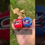 Cujo’s NHL Picks | Columbus Blue Jackets vs Carolina Hurricanes 🏒 04-02-2026 #CujoCatches