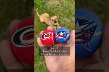 Cujo’s NHL Picks | Columbus Blue Jackets vs Carolina Hurricanes 🏒 04-02-2026 #CujoCatches