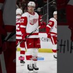 Should the Detroit Red Wings Move on From The Detroit Red Wings?