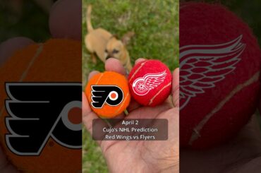 Cujo’s NHL Picks | Detroit Red Wings vs Philadelphia Flyers 🏒 04-02-2026 #cujocatches