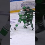 Viktor Lodin avstängning (Färjestad BK Rögle BK Löfbergs Arena i Karlstad i SHL i Sverige) (#Shorts)