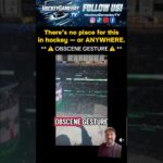Dallas Stars fan video surface of obscene gesture vs Toronto Maple Leafs #NHL #Hockey #foryou #fyp