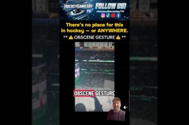 Dallas Stars fan video surface of obscene gesture vs Toronto Maple Leafs #NHL #Hockey #foryou #fyp