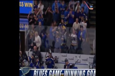 DYLAN HOLLOWAY IS THE BLUES' OT HERO 🙌 St. Louis Blues 2 - 1 San Jose Sharks