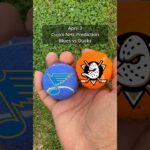 Cujo’s NHL Picks | St. Louis Blues vs Anaheim Ducks 🏒 04-03-2026 #CujoCatches
