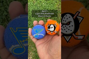 Cujo’s NHL Picks | St. Louis Blues vs Anaheim Ducks 🏒 04-03-2026 #CujoCatches
