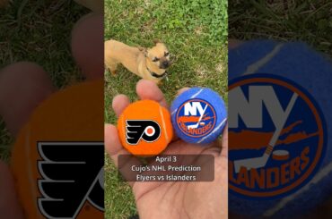 Cujo’s NHL Picks | Philadelphia Flyers vs New York Islanders 🏒 04-03-2026 #CujoCatches