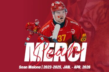 Merci, #37 Sean Malone | SCL Tigers