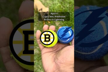 Cujo’s NHL Picks | Boston Bruins vs Tampa Bay Lightning 🏒 04-04-2026 #CujoCatches