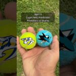Cujo’s NHL Picks | Nashville Predators vs San Jose Sharks 🏒 04-04-2026 #CujoCatches