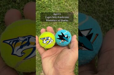 Cujo’s NHL Picks | Nashville Predators vs San Jose Sharks 🏒 04-04-2026 #CujoCatches