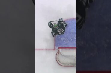 Mål eller inte? (Rögle BK mot Färjestad BK i Löfbergs Arena i Karlstad i SHL i Sverige) (#Shorts)