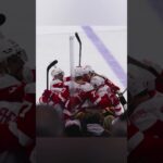 BIGGEST GOAL OF THE SEASON FROM LUCAS RAYMOND RED WINGS TAKE THE LEAD 2-1 🤯🔥