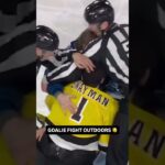 Goalie Fight!2026 Stadium Series Tampa Bay Lightning Boston Bruins Andrei Vasilevskiy Jeremy Swayman