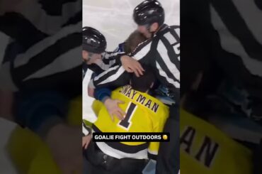 Goalie Fight!2026 Stadium Series Tampa Bay Lightning Boston Bruins Andrei Vasilevskiy Jeremy Swayman