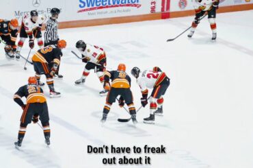 ULTIMATE ECHL MICD UP COMPILATION