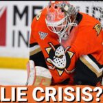 TORNADO: Anaheim Ducks’ Heartbreak Continues as Lukáš Dostál STRUGGLES in St. Louis Letdown