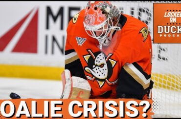 TORNADO: Anaheim Ducks’ Heartbreak Continues as Lukáš Dostál STRUGGLES in St. Louis Letdown