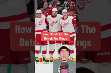How I Would Fix The Detroit Red Wings