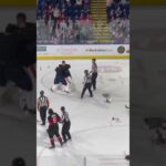 2/28/26 —- we have a goalie fight in the AHL!!! Will Cranley vs. Louis Dominique