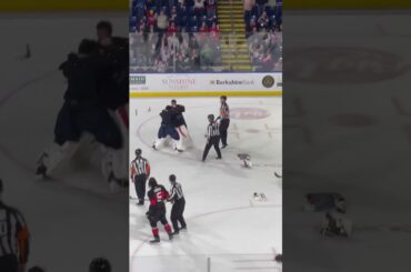 2/28/26 —- we have a goalie fight in the AHL!!! Will Cranley vs. Louis Dominique