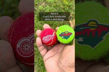 Cujo’s NHL Picks | Minnesota Wild vs Detroit Red Wings 🏒 04-05-2026 #CujoCatches