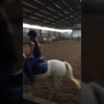 Springles bij Ruitersportcentrum Zutphen met Pablo