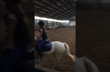 Springles bij Ruitersportcentrum Zutphen met Pablo