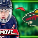 Wild Make Sneaky Good Signing... Multiple Huge Updates | Minnesota Wild News
