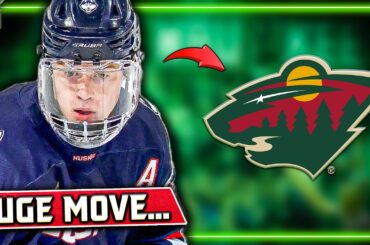 Wild Make Sneaky Good Signing... Multiple Huge Updates | Minnesota Wild News