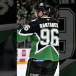 The Dallas Stars Has Banned a Fan Following Their Investigation Into The Video of Fans Saluting