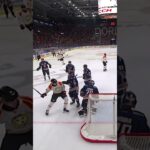 Brian Cooper crosscheckar Oskar Lindblom i ansiktet (Växjö Lakers HC mot Brynäs IF i SHL) (#Shorts)