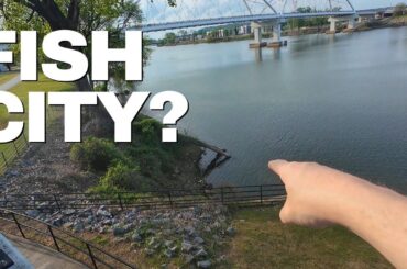 Can you catch fish in a BIG city? Bass Fishing The Arkansas River!