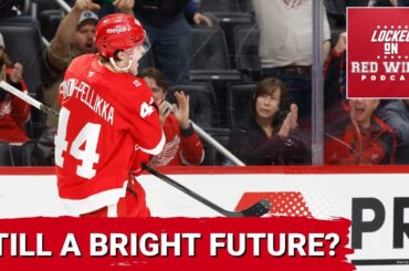 Bright future ahead? The Athletic ranks the Wings prospect pool 4th — But does it have top talent?