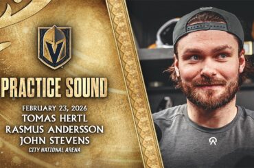 🎥 SOUND: Hertl, Andersson & Stevens