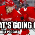 What's Wrong With The Red Wings? | SDP
