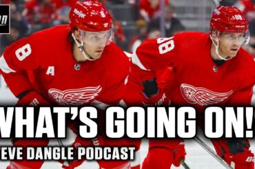 What's Wrong With The Red Wings? | SDP