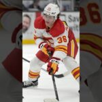 Flames Recall Aydar Suniev From Wranglers!