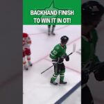 PP in OT… Johnston Ends It