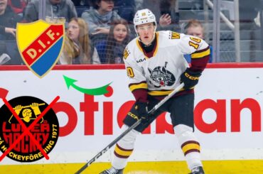 NOEL GUNLER TILL DJURGÅRDEN?