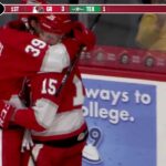 Tyler Bertuzzi | Goals 2017-18