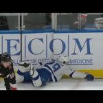 Holmberg seriously injured by an unlatched penalty box gate: this can’t happen - Tough Call Review