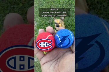 Cujo’s NHL Picks | Tampa Bay Lightning vs Montreal Canadiens 🏒 04-09-2026 #CujoCatches