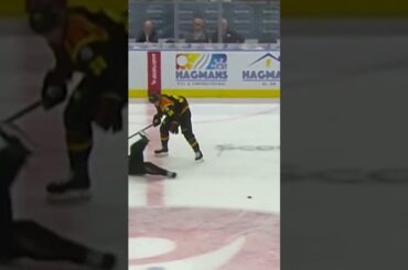 Domare tappar skenan (Brynäs IF mot Frölunda HC i Scandinavium i SHL i Sverige) (#Shorts)