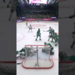 Mål eller inte? (Färjestad BK mot Rögle BK i Catena Arena i Ängelholm i SHL i Sverige) (#Shorts)