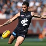Zac Williams - AFL 2026 Round 3 Highlights - Carlton vs Melbourne