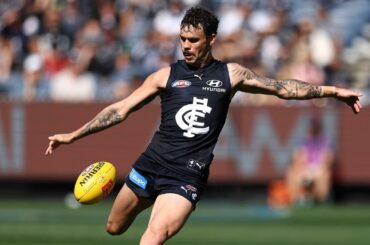 Zac Williams - AFL 2026 Round 3 Highlights - Carlton vs Melbourne